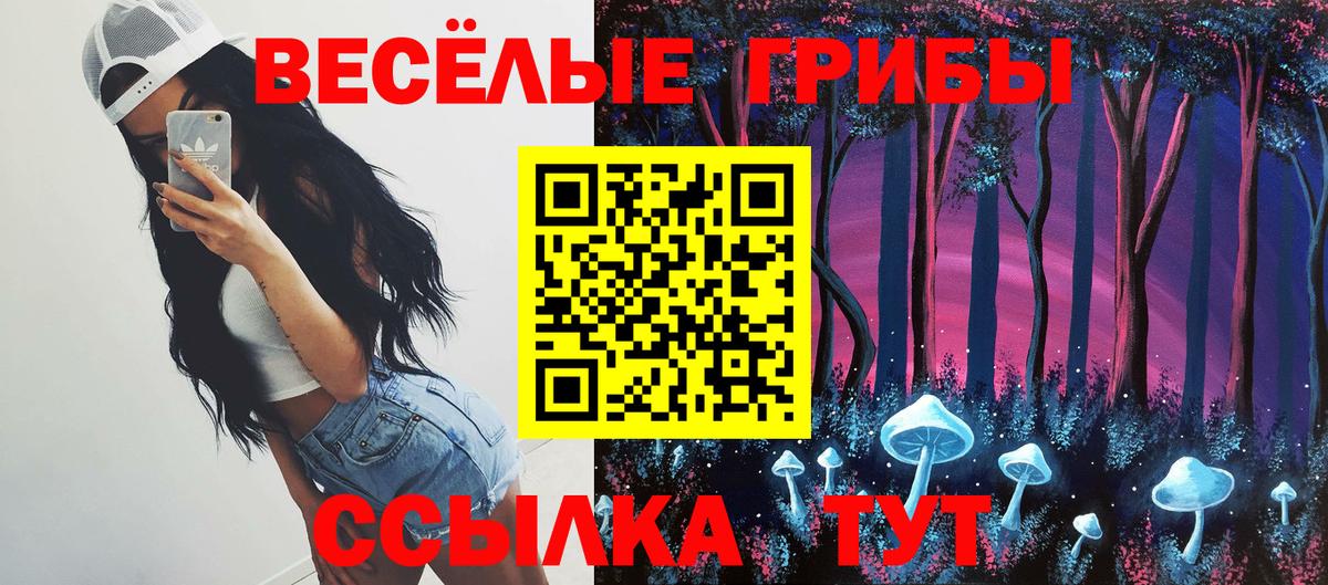 Галлюциногенные грибы мицелий Шатура
